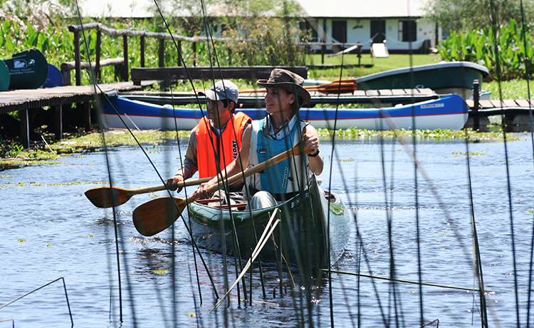 Navegación en los Esteros del Iberá