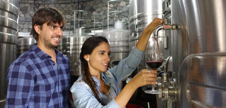 Turistas disfrutan la propuesta enoturística y los excelentes vinos en una bodega tucumana